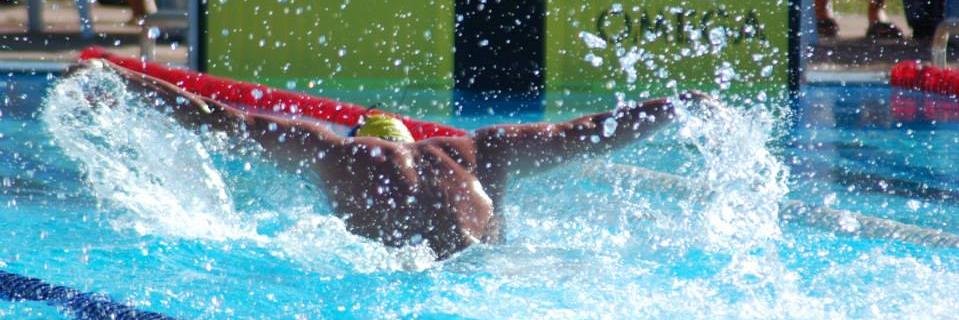 Fran Dávila banner