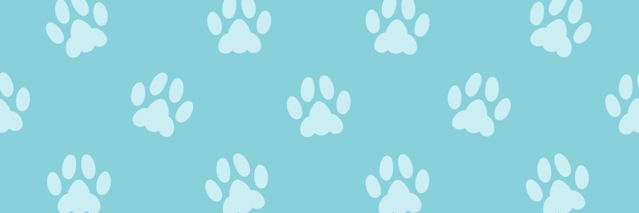 Pontasu🐾skeb募集中's banner