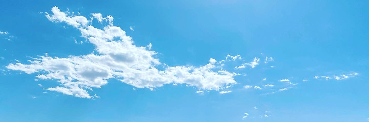 MaestraMorrison's profile banner image