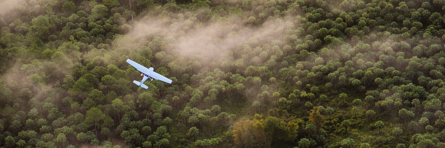 Path of the Panther banner