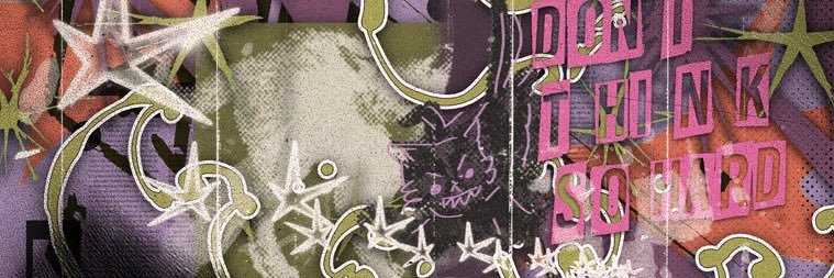 orca banner