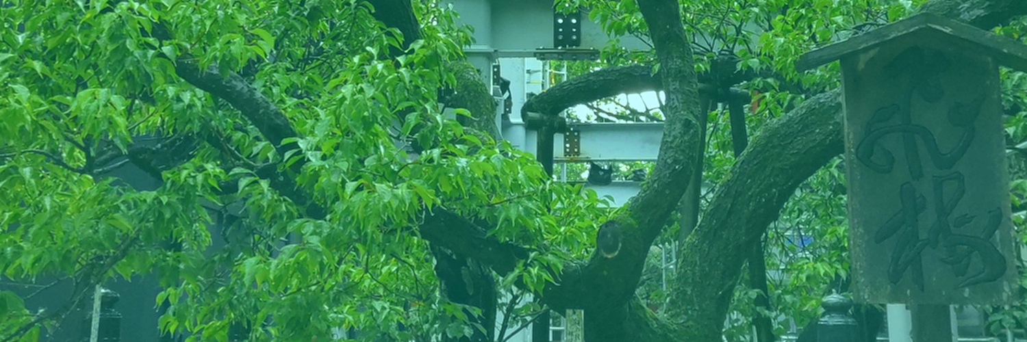 asakoJ12's profile banner image