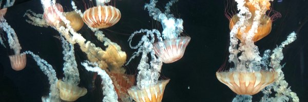 _Slimp96 Profile Banner
