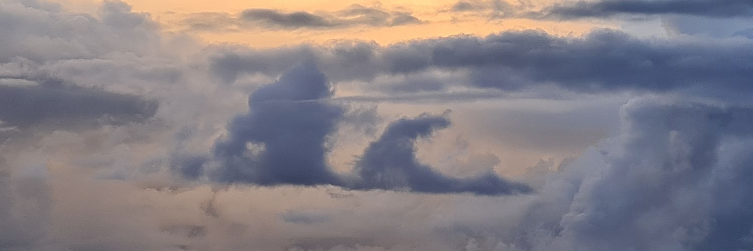 Frielyy's profile banner image