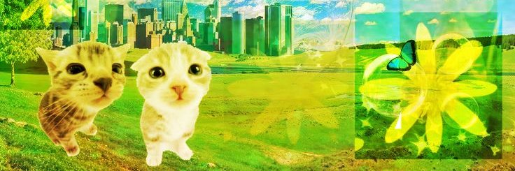 bedoiundress's profile banner image