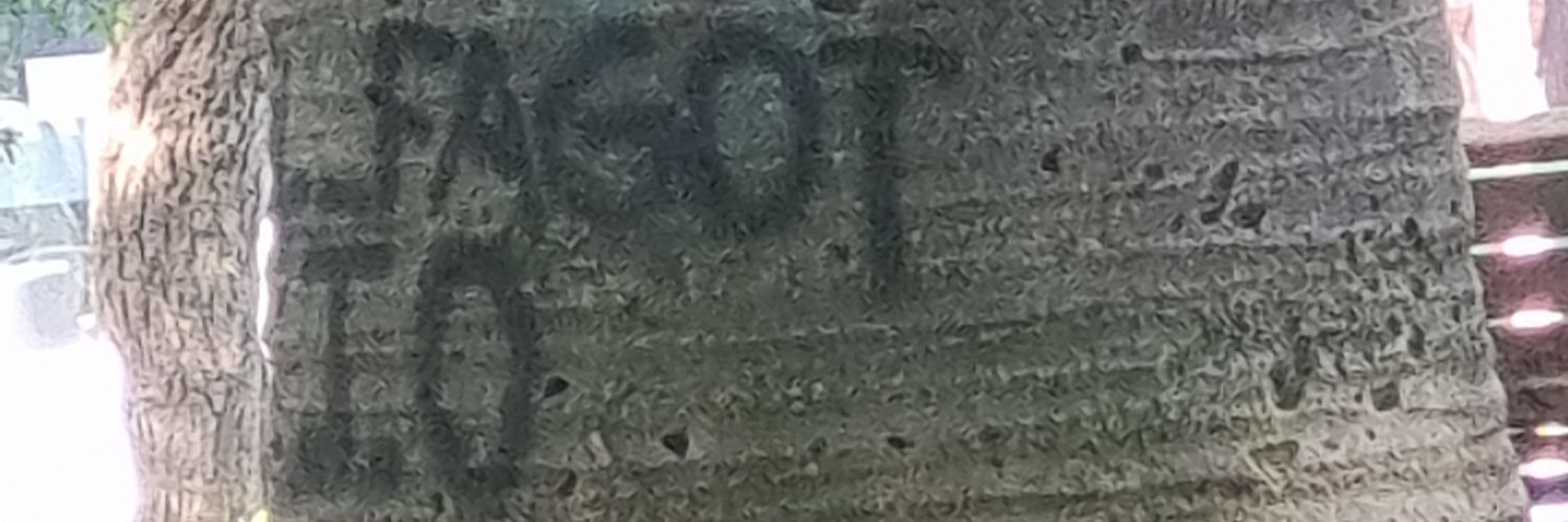 kbtf21's profile banner image