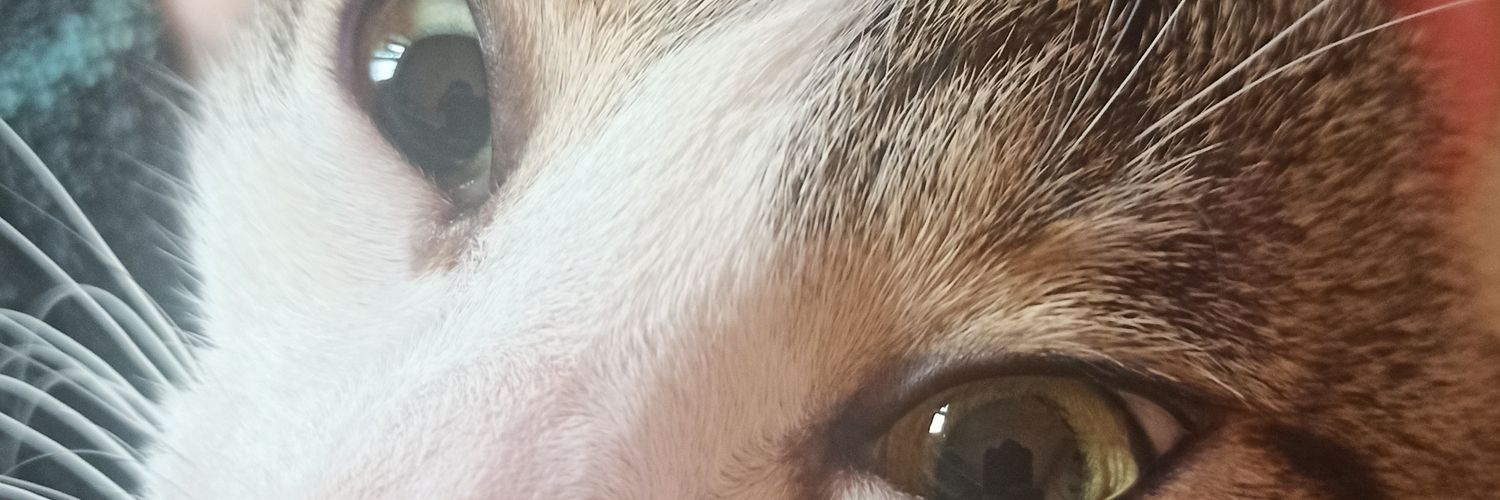 RomuroZ's profile banner image