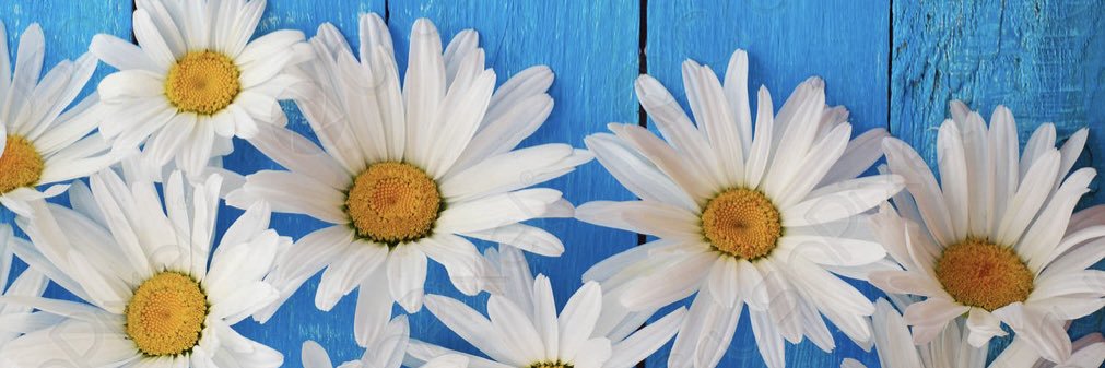 archyangel98's profile banner image