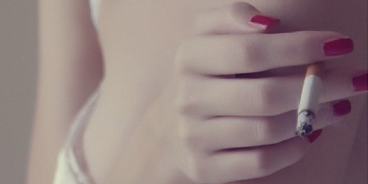 ☞安君 / 熊小貓 banner