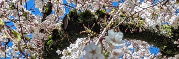 emmiebe18 Profile Banner