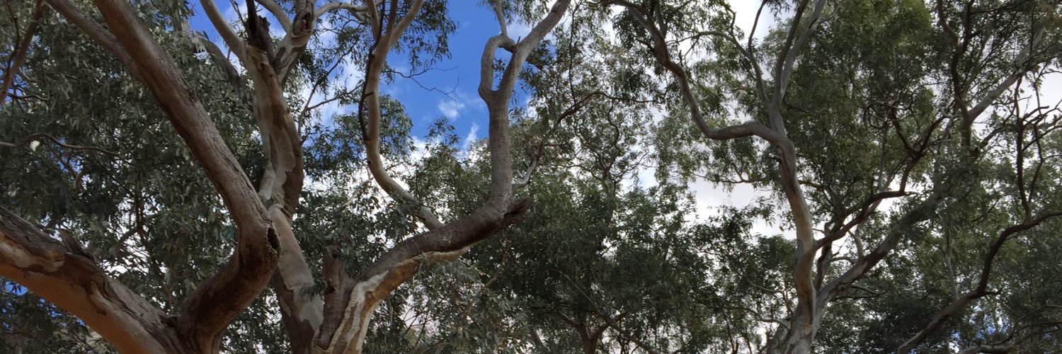 Barrier Truth banner