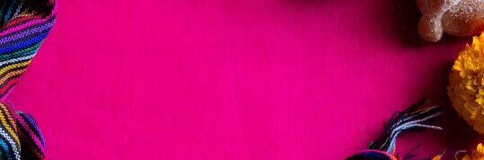 rocío del carmen lopez banner