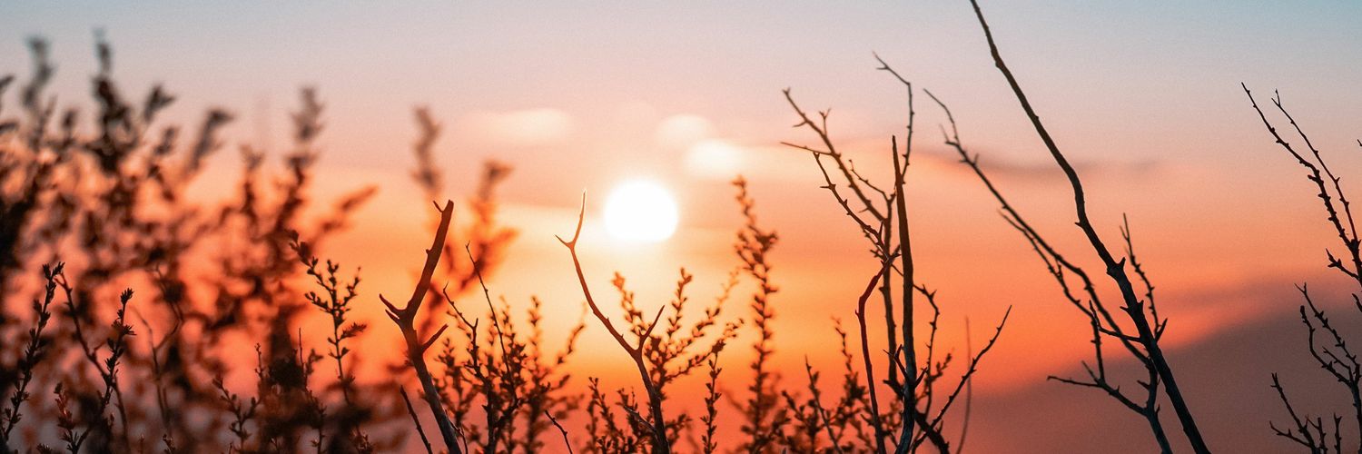 rohitkumar244's profile banner image