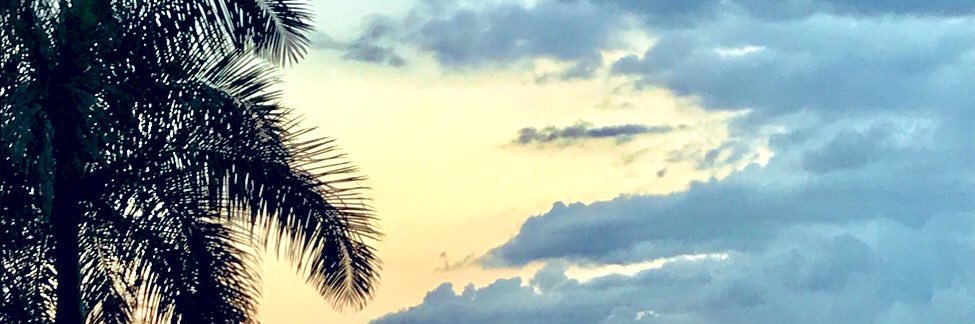 tulipanrc's profile banner image