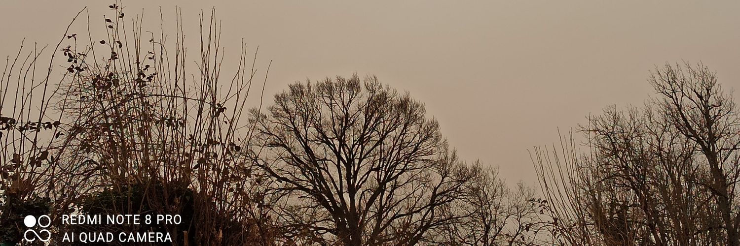 CacheuxNathalie's profile banner image