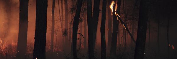 dskessler Profile Banner