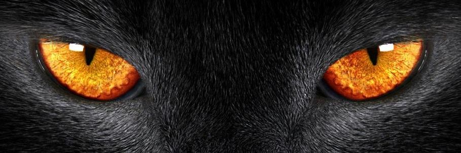 Funakruf's profile banner image