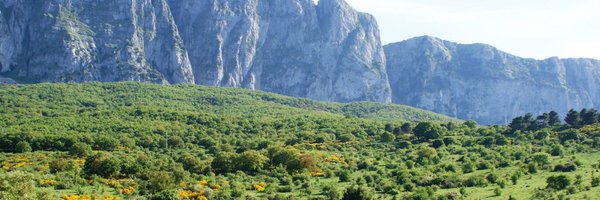 enricoschifani Profile Banner