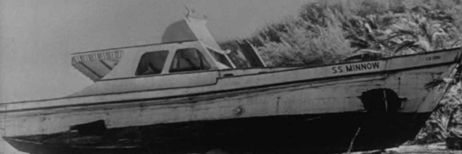 TheCryptoSkipper banner