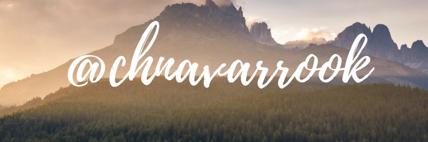 chnavarrook's profile banner image