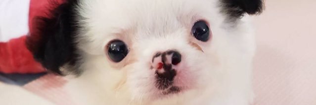 Athomtt's profile banner image