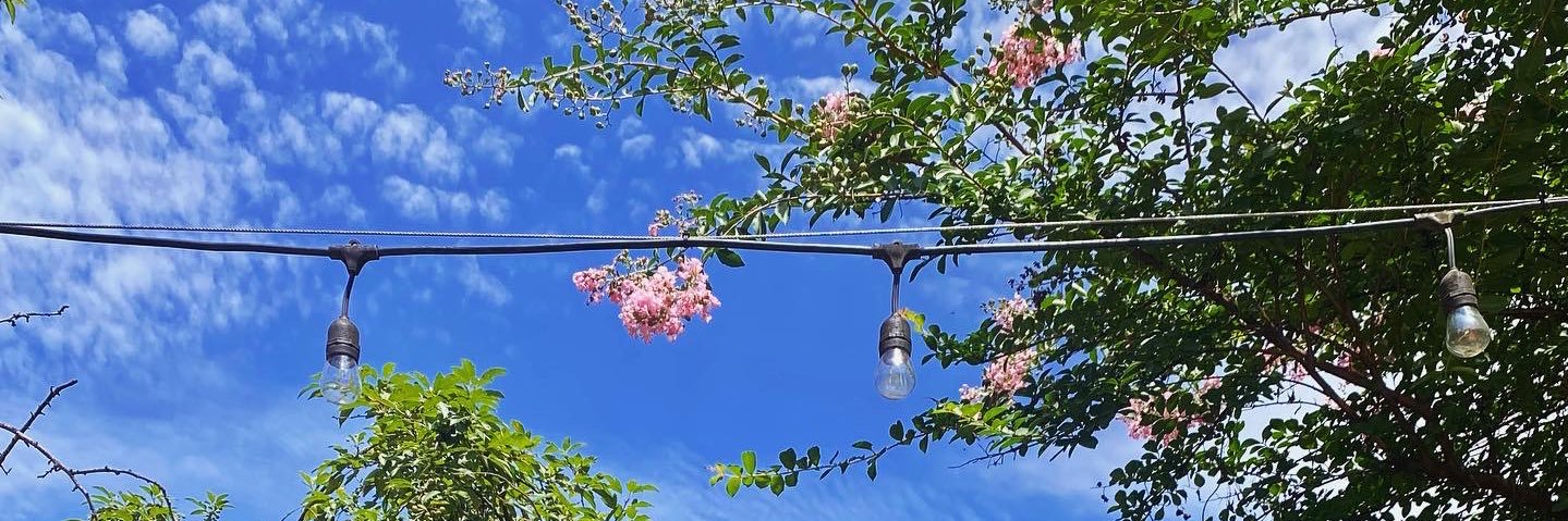 ellelappe's profile banner image
