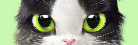 nii o banner