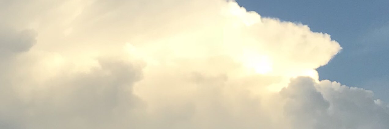 Asiphronia's profile banner image