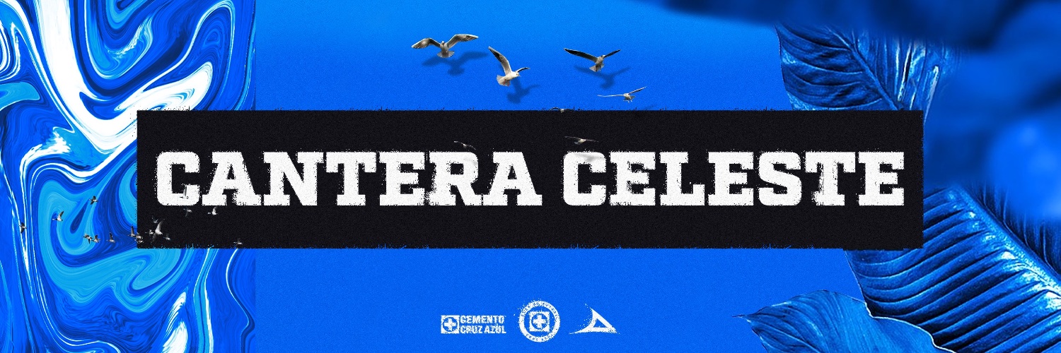 Cruz Azul Hidalgo's banner
