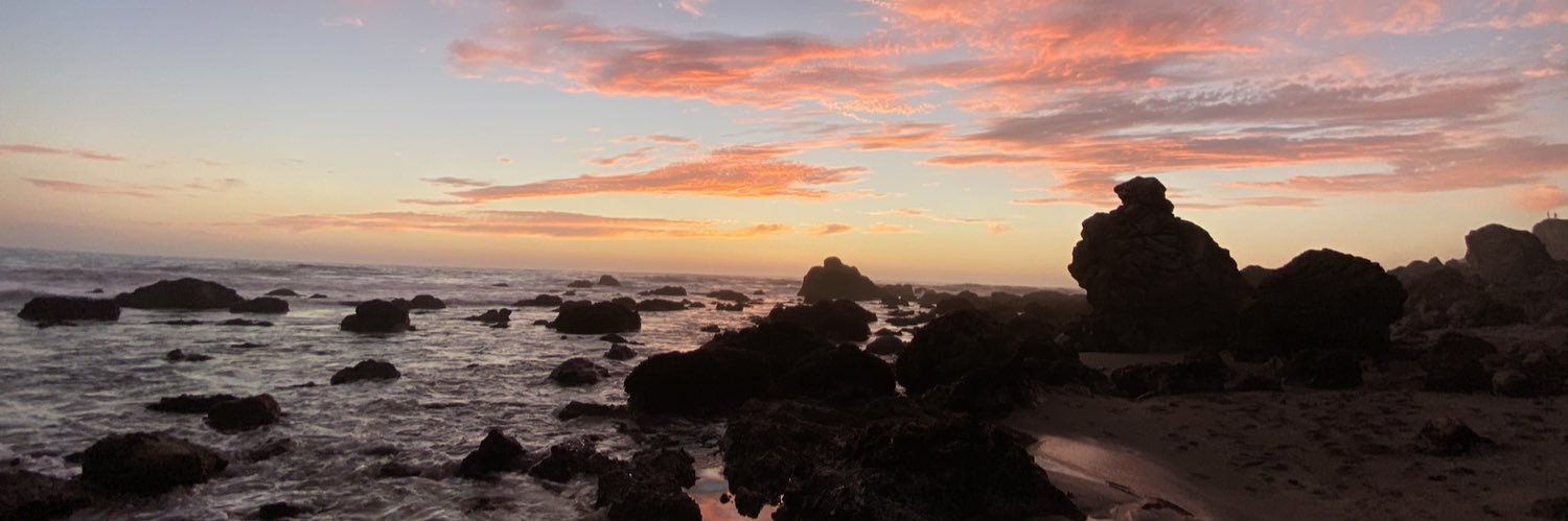 Karolina Zabinski banner