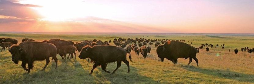 Butch Mayhew 🥏 banner