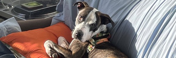 aaronterr1 Profile Banner