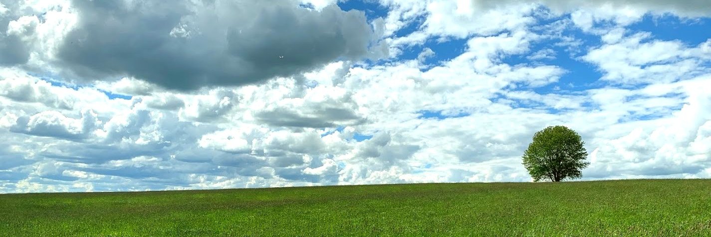 DenTijs's profile banner image