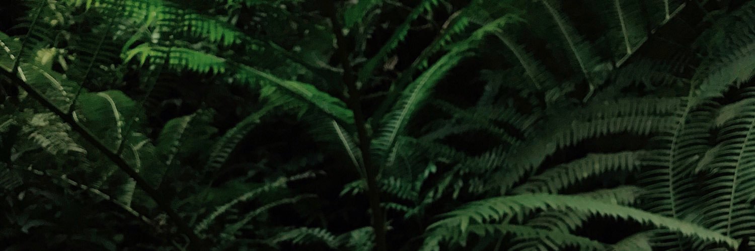 shvnette's profile banner image