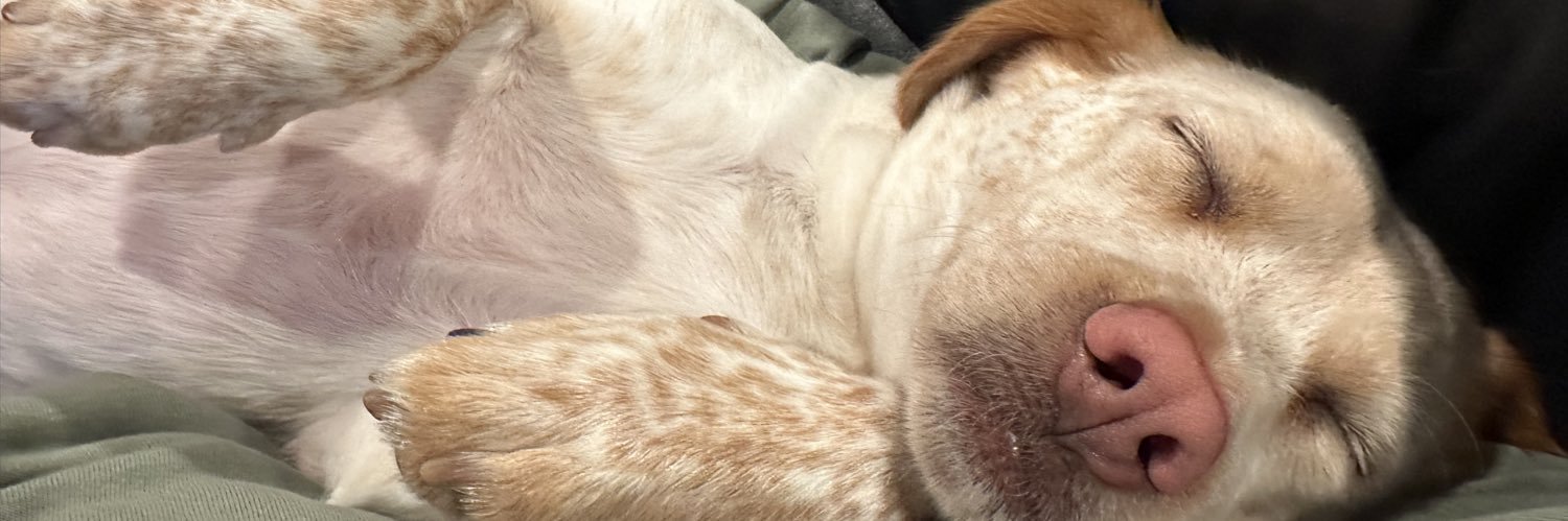 Miles Shoaf 🌵 #25 banner