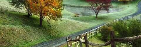 glendysmunoz's profile banner image