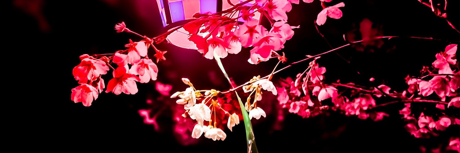 kashu5893's profile banner image
