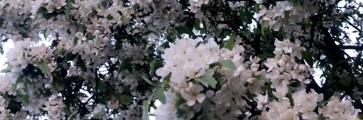 __cuciremoda's profile banner image