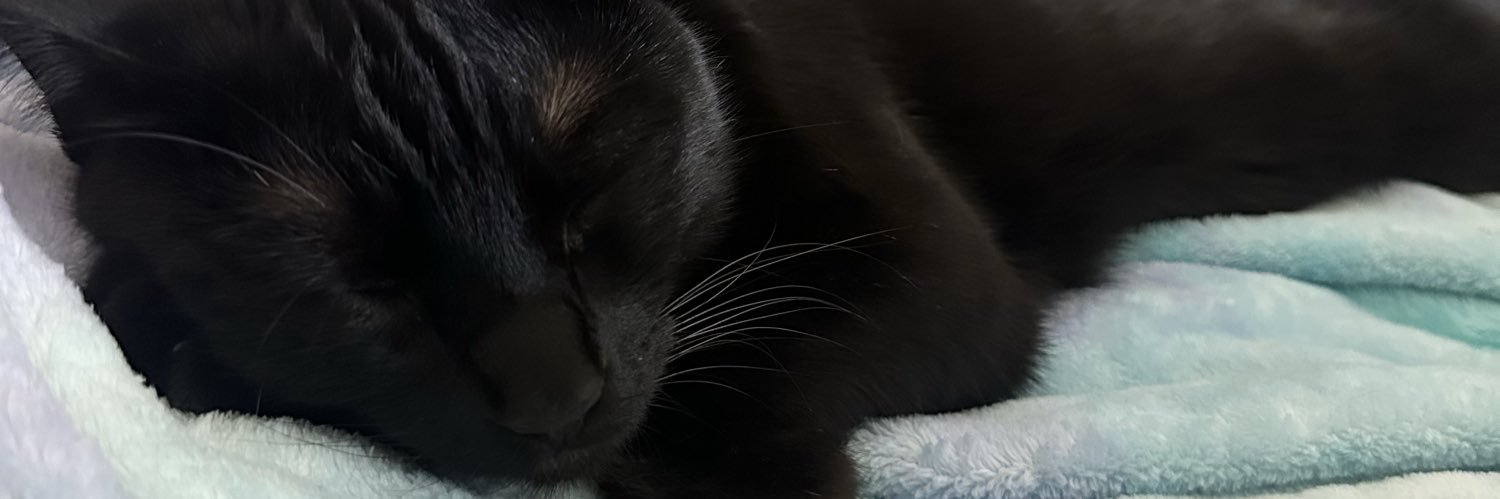 domlorraine's profile banner image