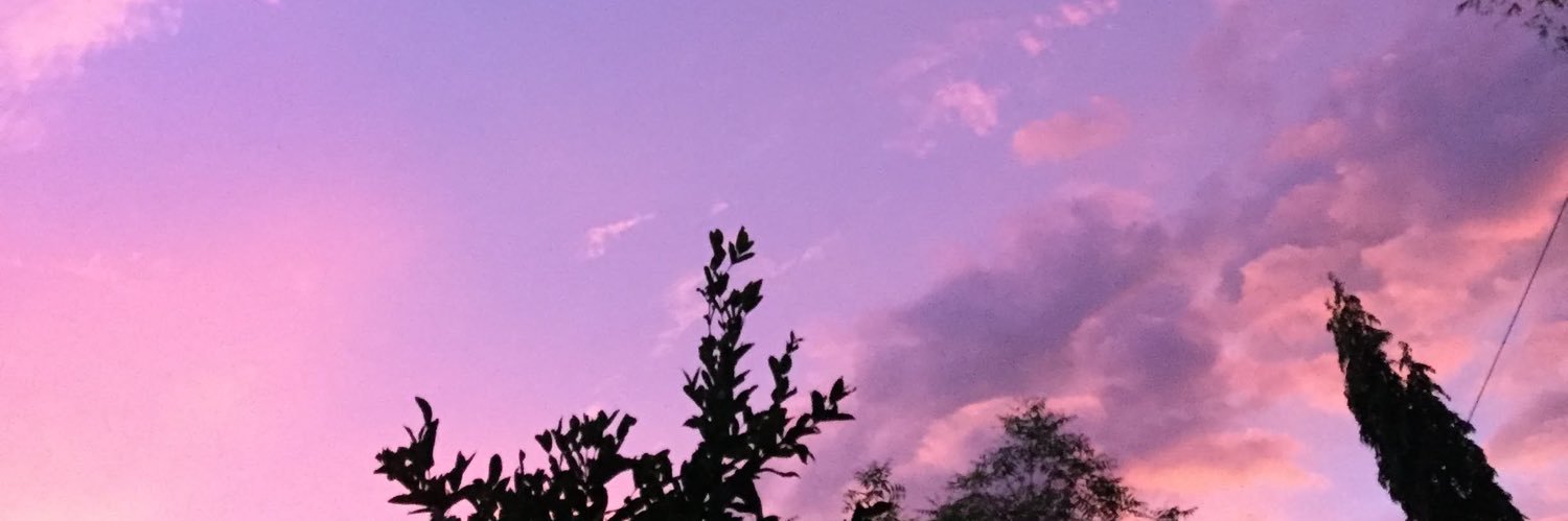 liralew's profile banner image