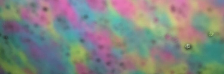 RippSara's profile banner image
