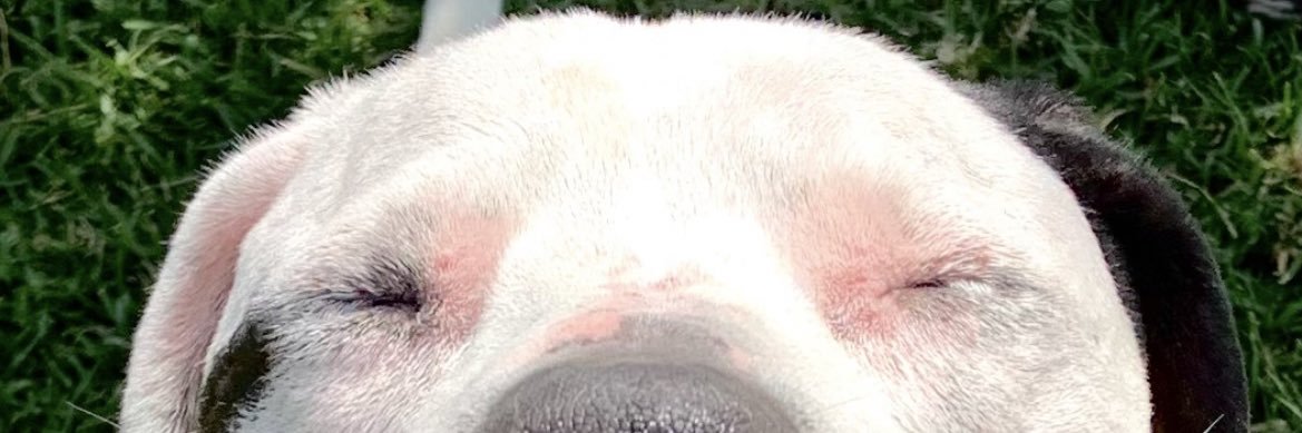 PaulaNeira30's profile banner image