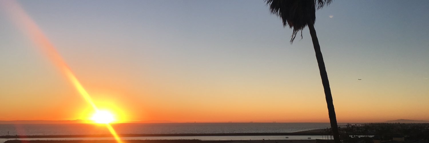 T_leapingheart's profile banner image