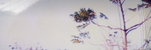 Fidzwan4's profile banner image