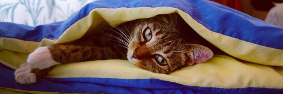 TheFuzzAldrin's profile banner image