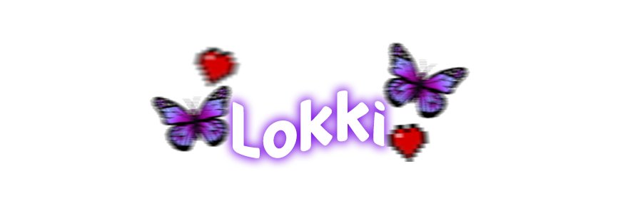 Lokki banner