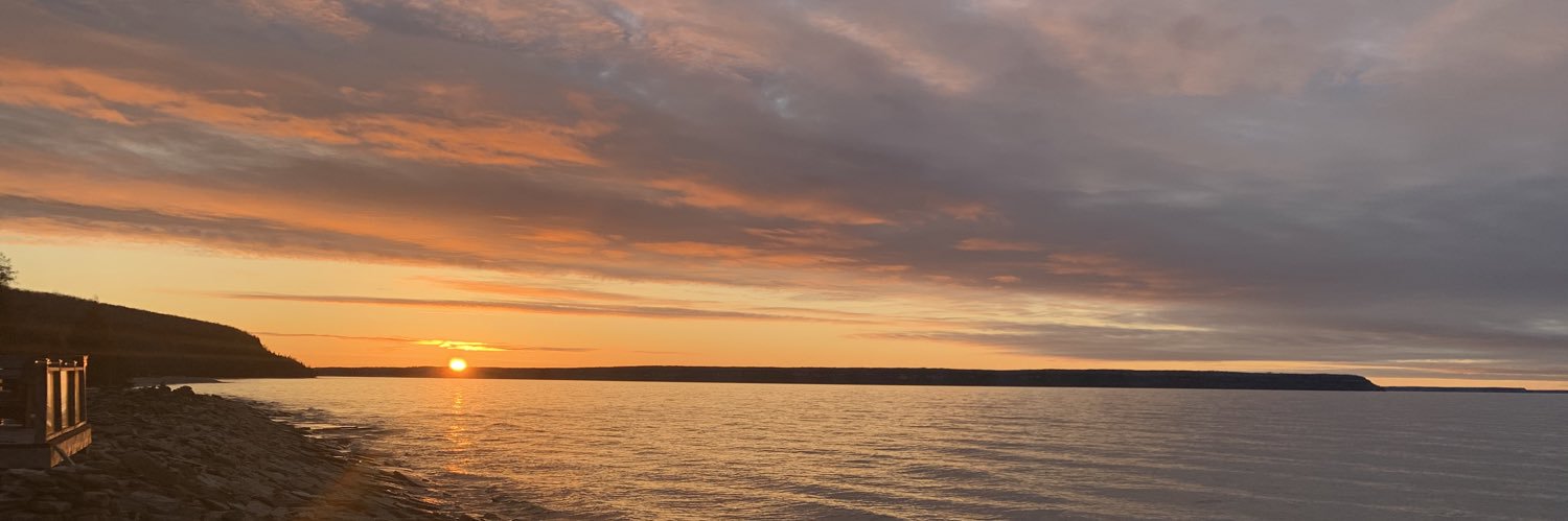 bribeehler's profile banner image