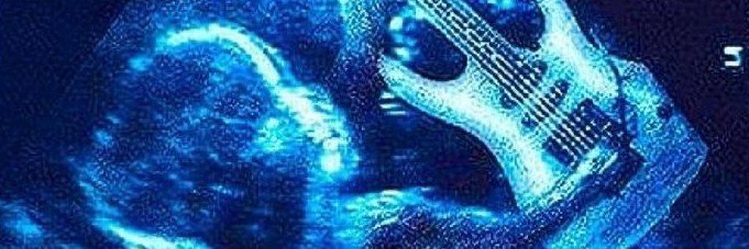 hota banner