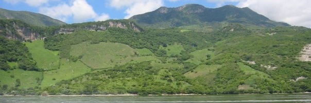 Nicholas J. Bryan banner