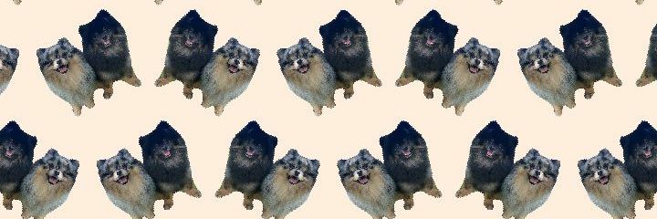 CHAUmanderp's profile banner image